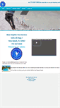 Mobile Screenshot of bluedolphinpoolservice.com